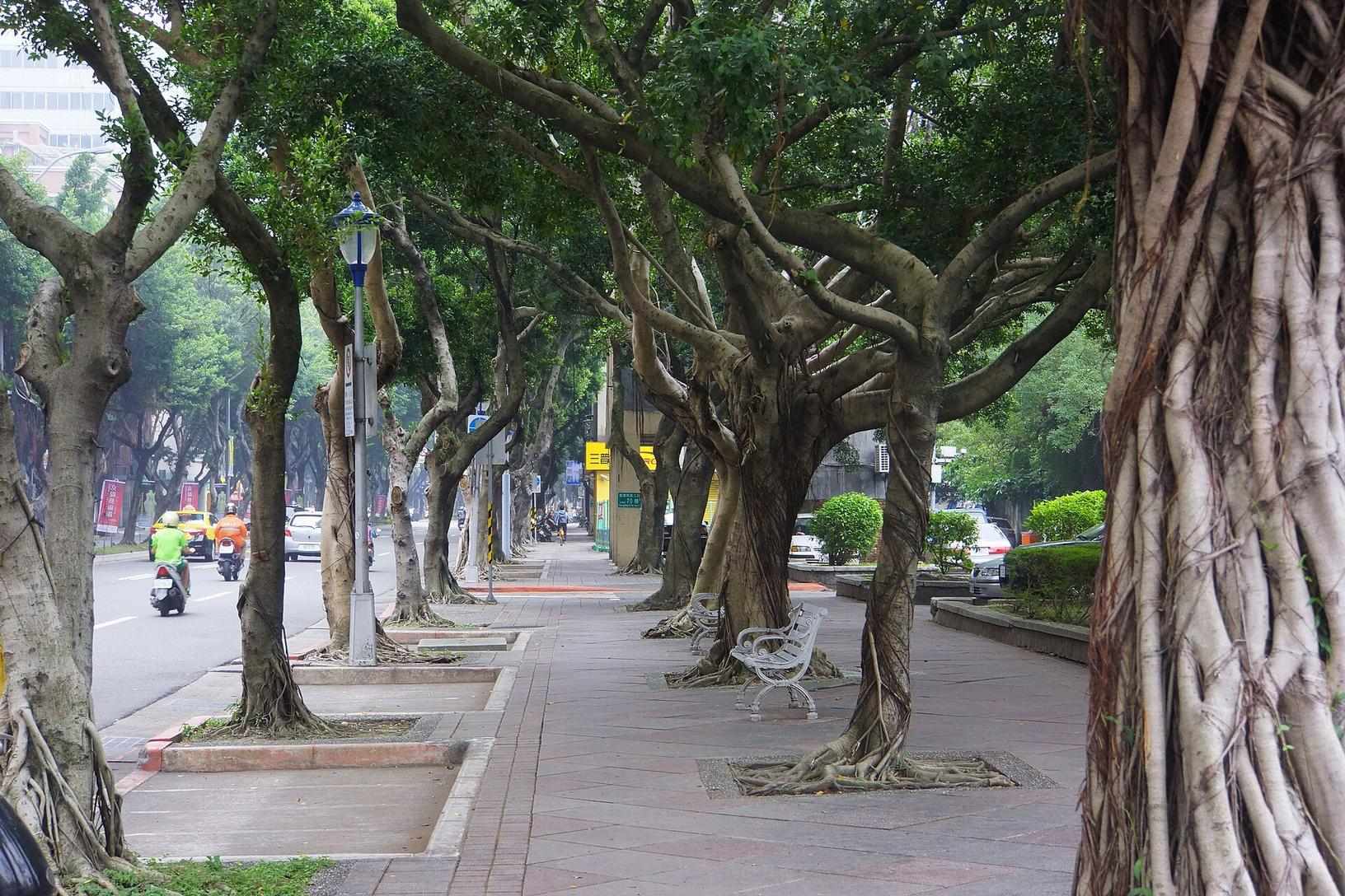 Sidewalk and office facades along Chongqing South Road Section 2 in Taipei